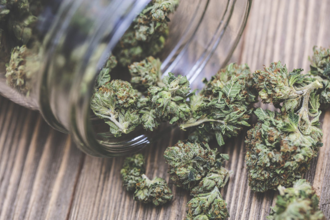 Cannabis : Pourquoi et comment légaliser.