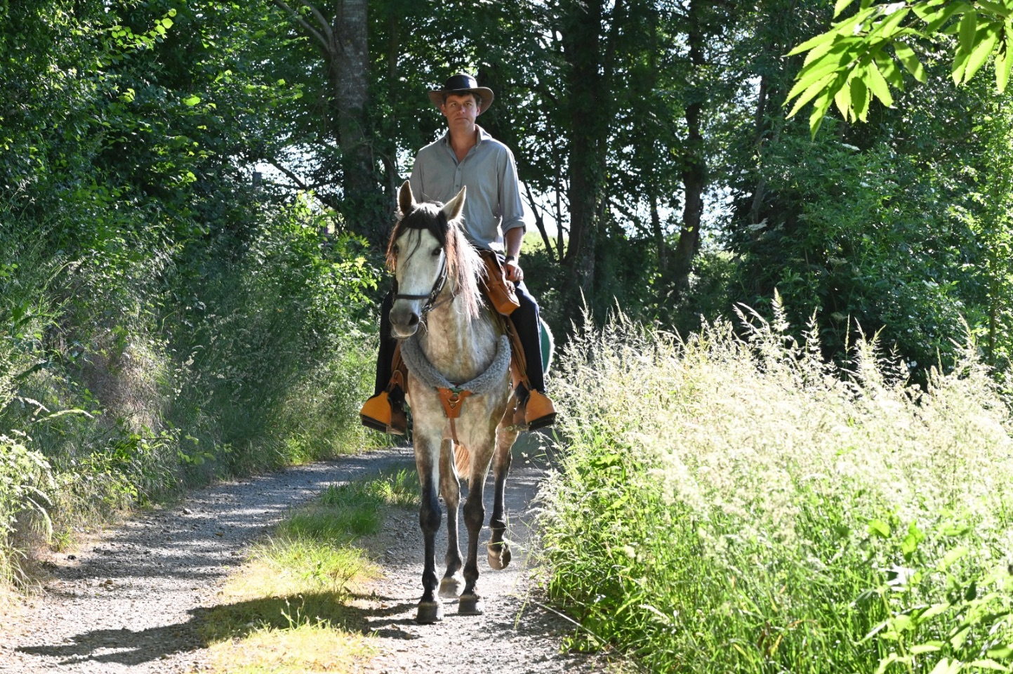 Gaspard Koenig sur les traces de Montaigne